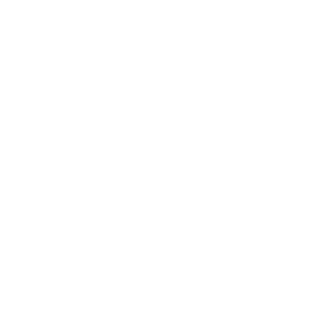 Valores Bienestar Organizacional